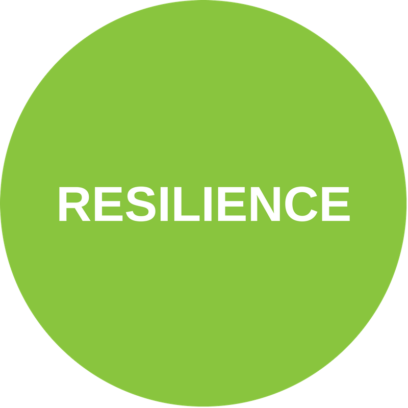 Resilience Trend [Category - The Environment]