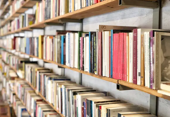 Rows of books at a library