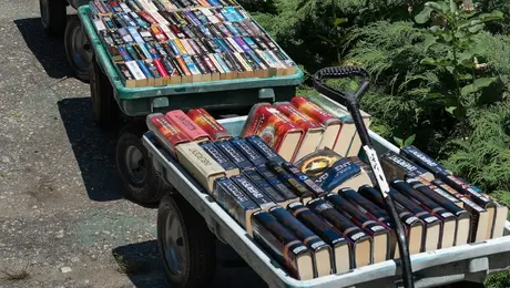 Three large wagons filled with books.