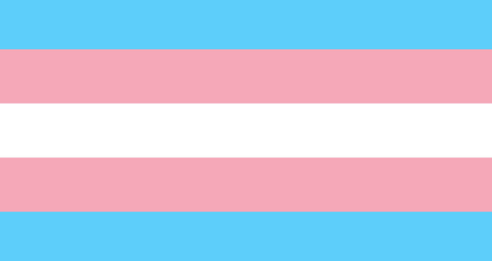 Transgender flag colors